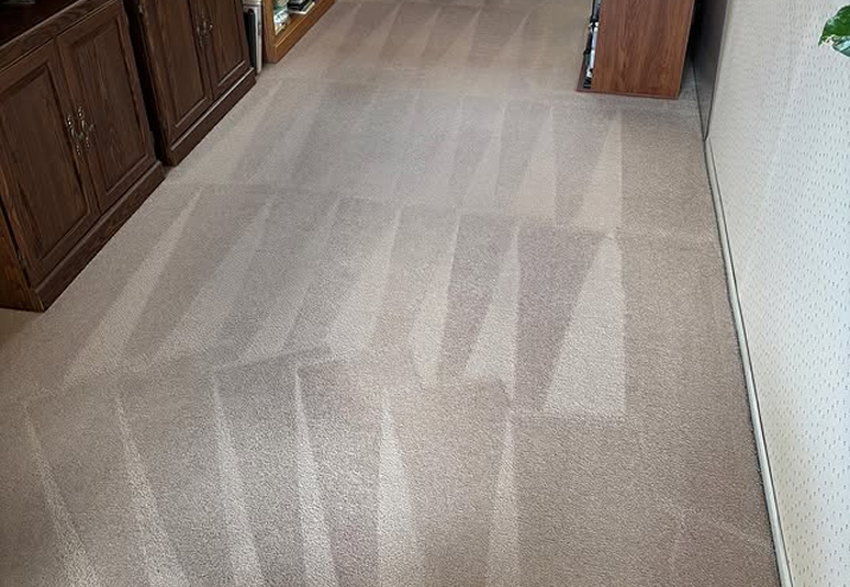 Carpet Cleaning