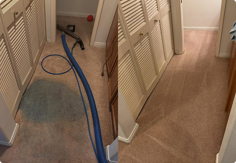 Pet Odor & Stain